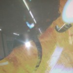 DSCF4254