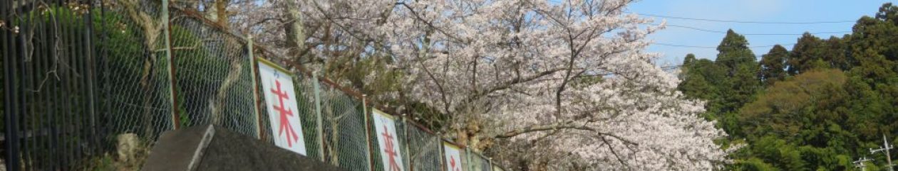 鉾田市立旭北小学校