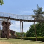 IMG_0529