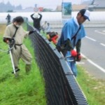 CIMG8097 (2)フエンスa