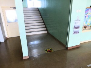 20200425112245P1050846-4