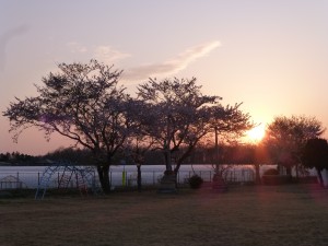 P1050803