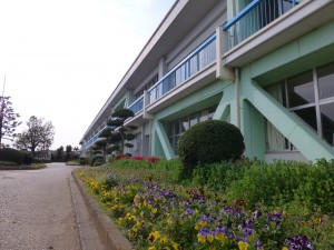 P1050828