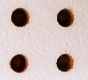 P10508341