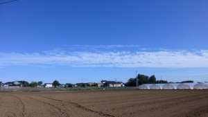 P1050880