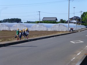 P1050905
