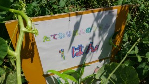 HORIZON_0001_BURST20210722105226831_COVER