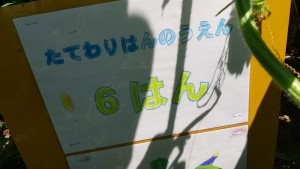 HORIZON_0001_BURST20210722105420916_COVER