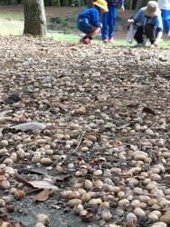 0BFFADB4-0FE8-4BD0-B498-C9DA71D3C2CD