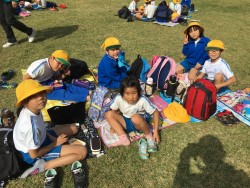 53FD199F-3AD2-4FA9-860B-C17D7E71245F