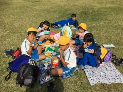 B753EA71-3DE4-4309-9C0A-538A0416060E