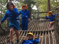 C9179295-56BD-499C-99E0-C652815D7103