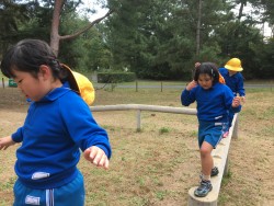 EB68D8DB-C8C0-4F63-8A65-2319A194CD22