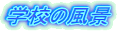 wZ̕i