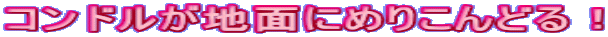 Rhnʂɂ߂肱ǂI