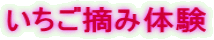 Eݑ̌