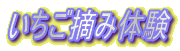 Eݑ̌