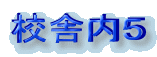 ZɓT