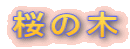 ̖