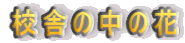 Zɂ̒̉