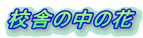 Zɂ̒̉