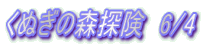 ʂ̐XT@6/4