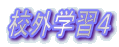ZOwKS