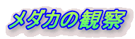 _J̊ώ@