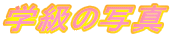 w̎ʐ^