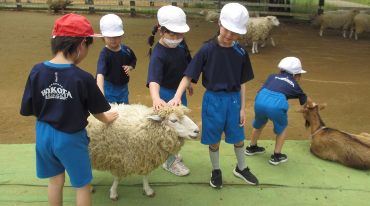 鉾田市立鉾田南小学校
