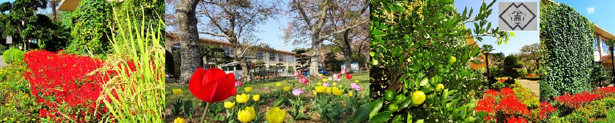 鉾田市立上島西小学校