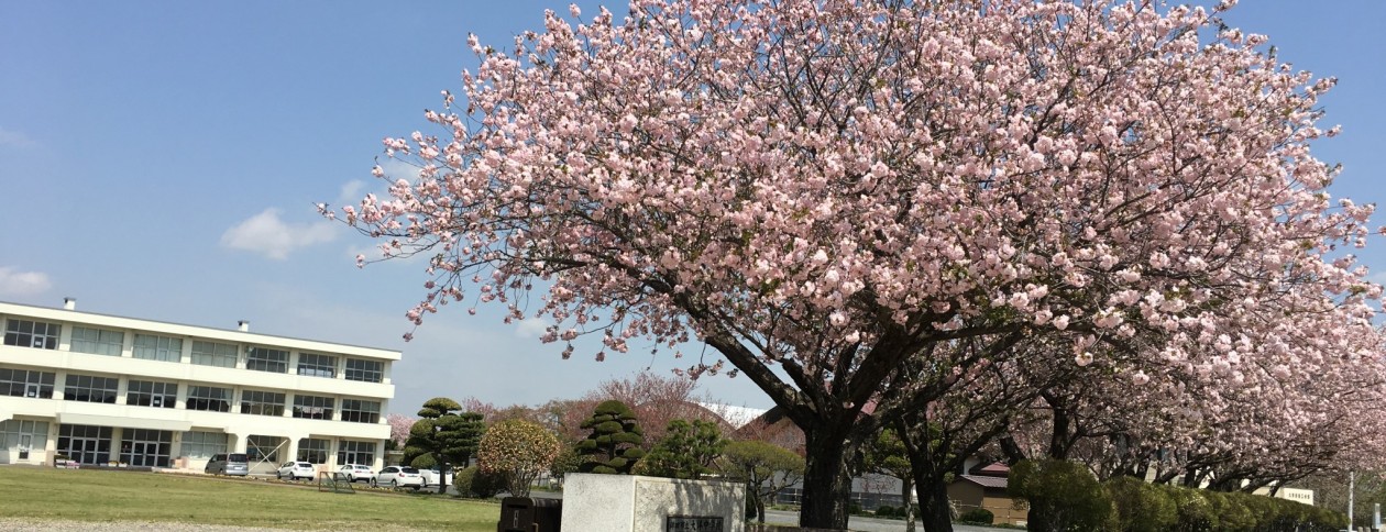 鉾田市立大洋中学校