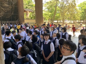 86BC7CFA-C8A6-43DC-ACC7-9C2EF98AF915