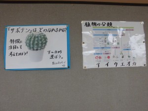 CIMG4315